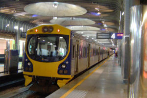 Auckland Condition Assessment – Assessor, 2013